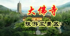 在线观看操开裆裤中国浙江-新昌大佛寺旅游风景区
